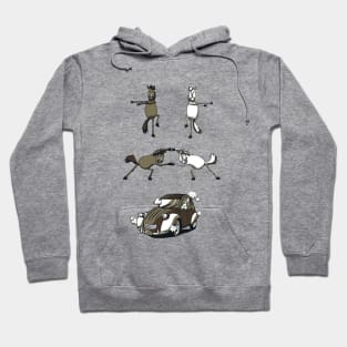 Horse Fusion Hoodie